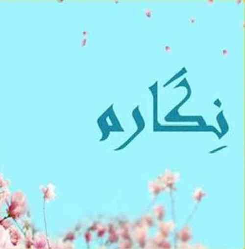 مهدی خامسی نگارم